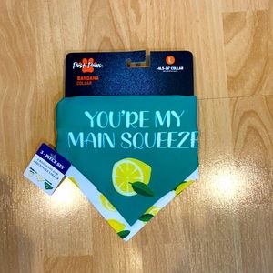 3 Piece Bandana Dog 🐶 Collar